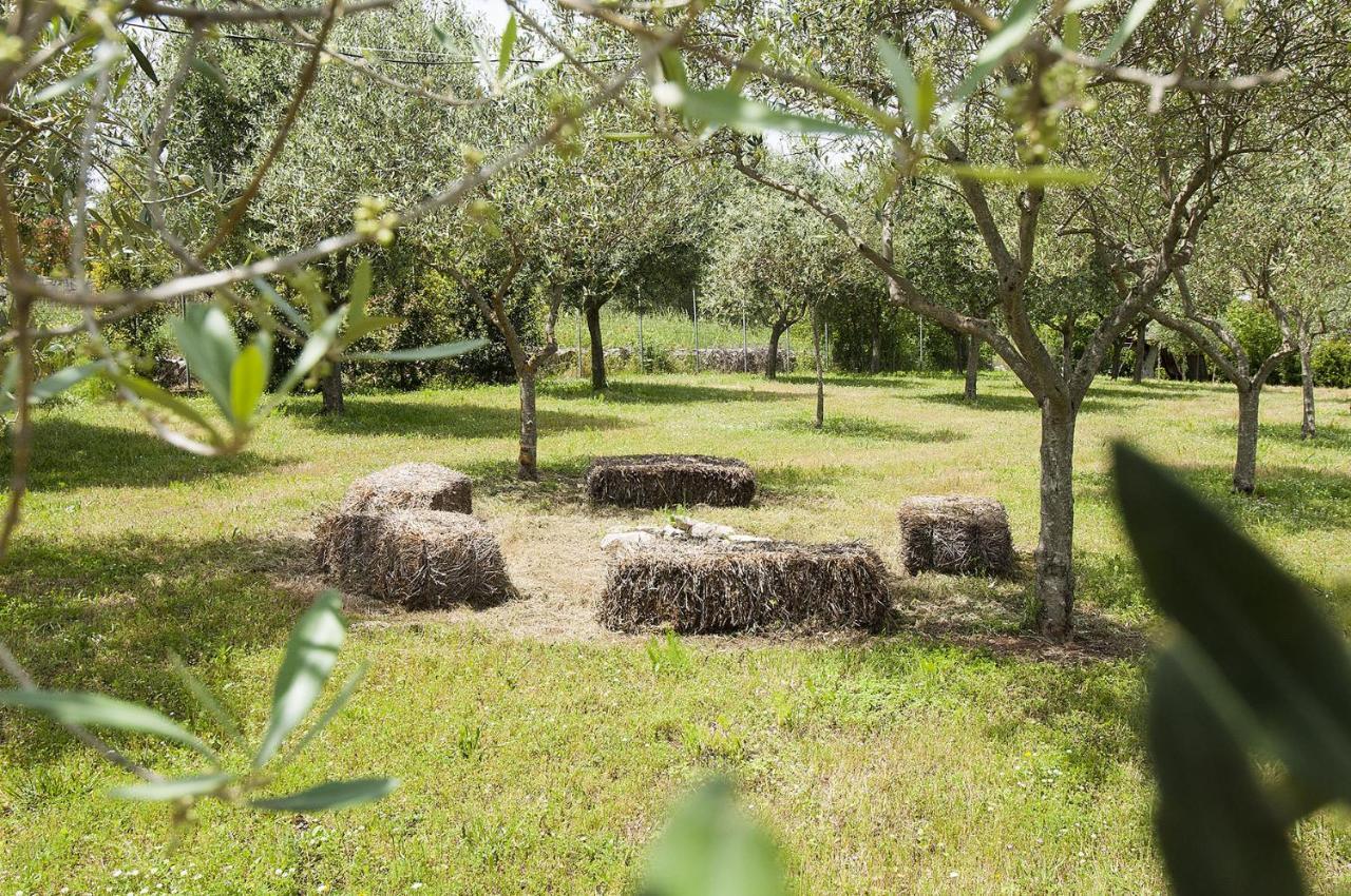 B&B Trulli Valle D'Itria Martina Franca Eksteriør billede