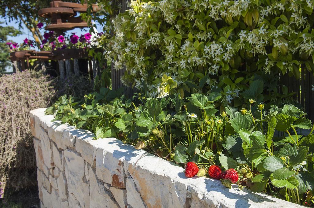 B&B Trulli Valle D'Itria Martina Franca Eksteriør billede